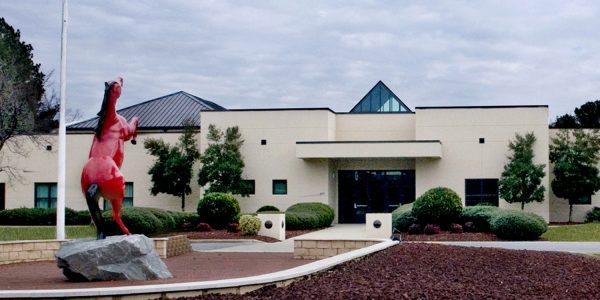 Government Construction